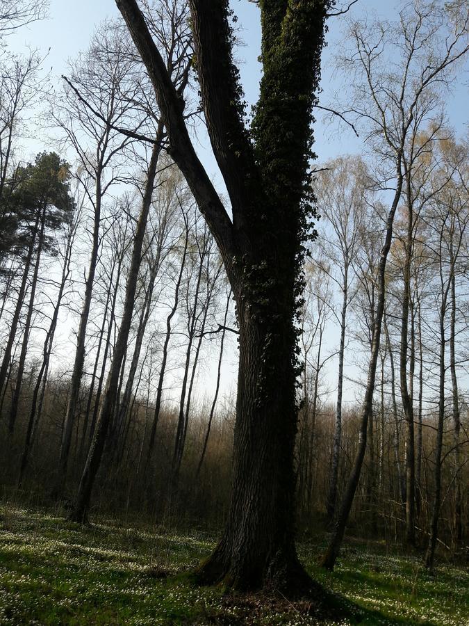 Лазурний Берег Pulemets ภายนอก รูปภาพ