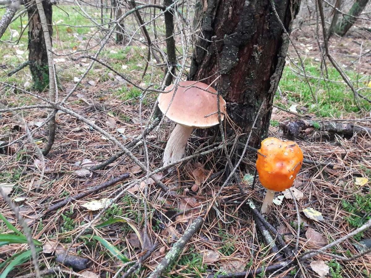 Лазурний Берег Pulemets ภายนอก รูปภาพ